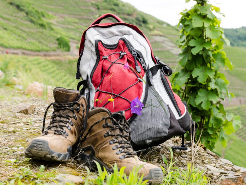 Berg-Fokus: Deine herbstliche Workation